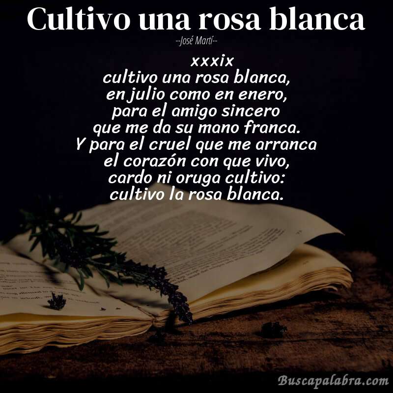 Poema cultivo una rosa blanca de José Martí con fondo de libro