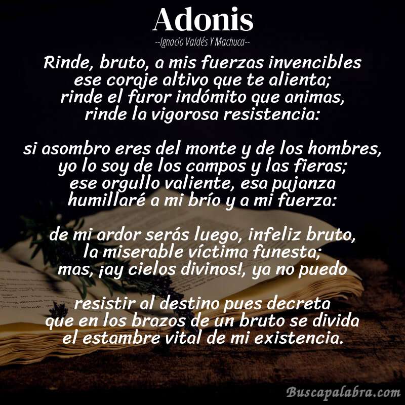 Poema Adonis de Ignacio Valdés y Machuca con fondo de libro