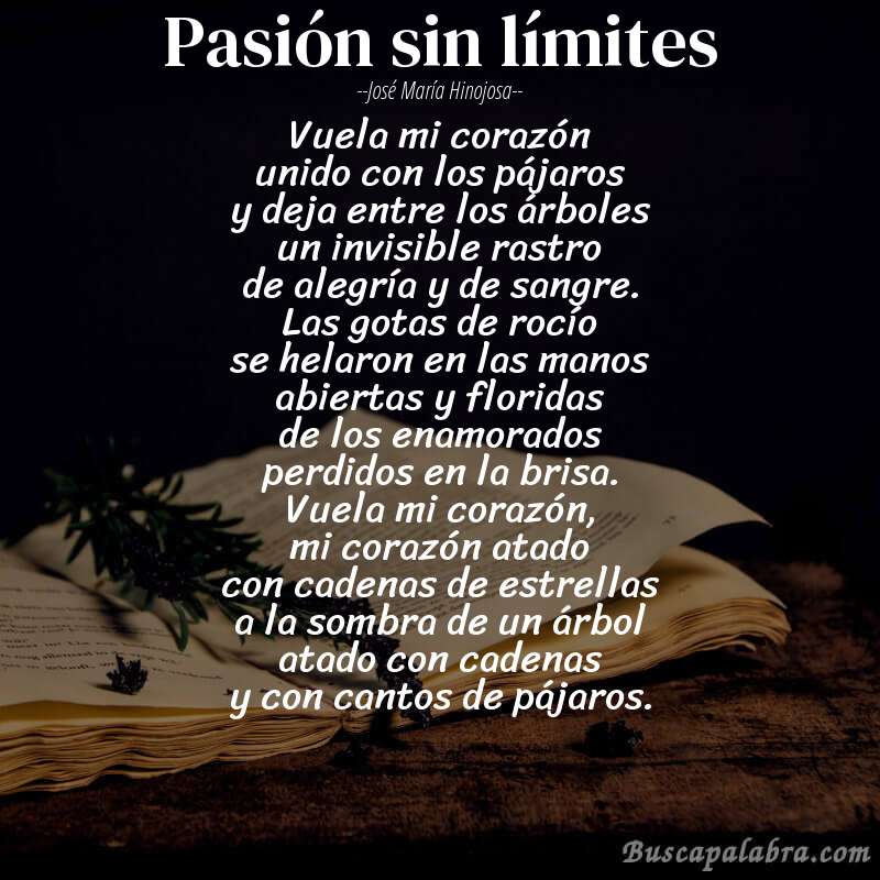 Poema pasión sin límites de José María Hinojosa con fondo de libro
