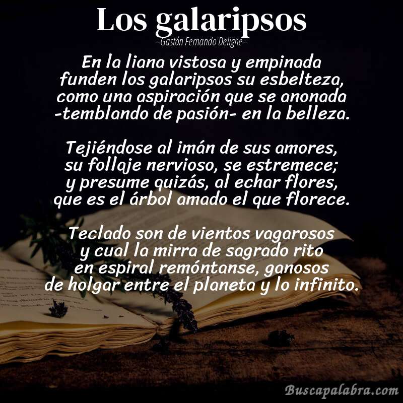 Poema los galaripsos de Gastón Fernando Deligne con fondo de libro
