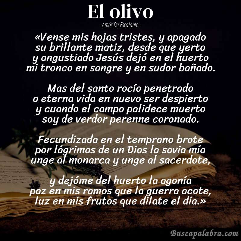 Poema El olivo de Amós de Escalante con fondo de libro