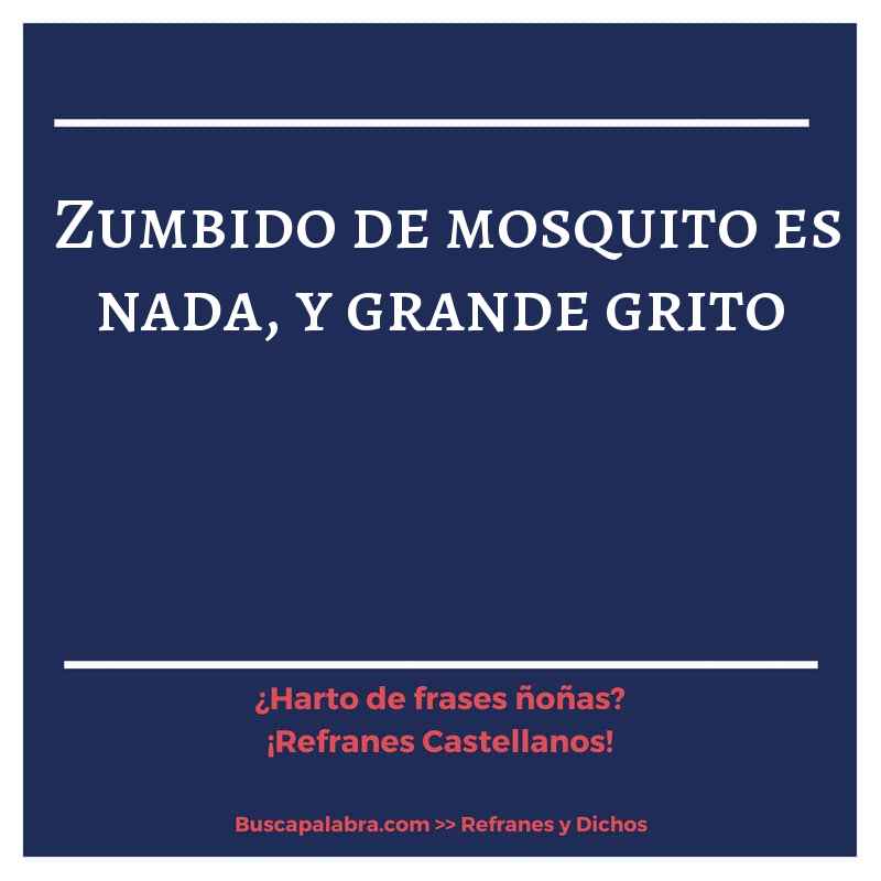 zumbido de mosquito es nada, y grande grito - Refrán Español