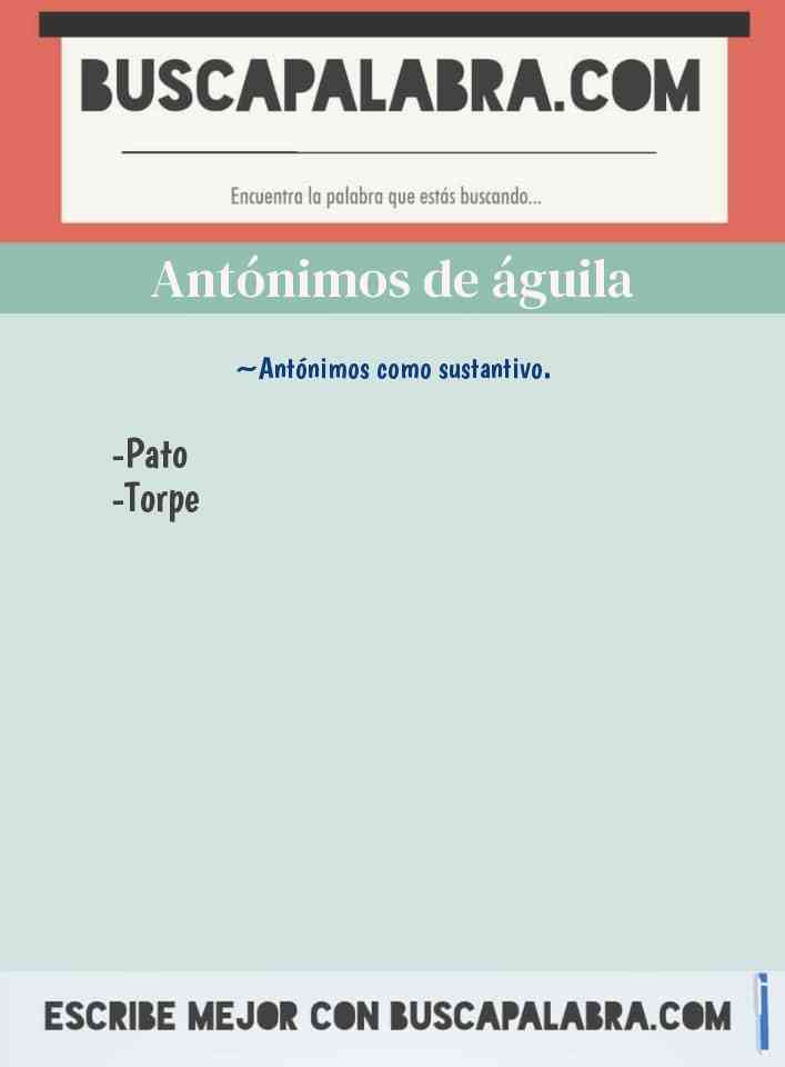 Sinónimos y Antónimos de águila - 6 Sinónimos y 2 Antónimos para águila