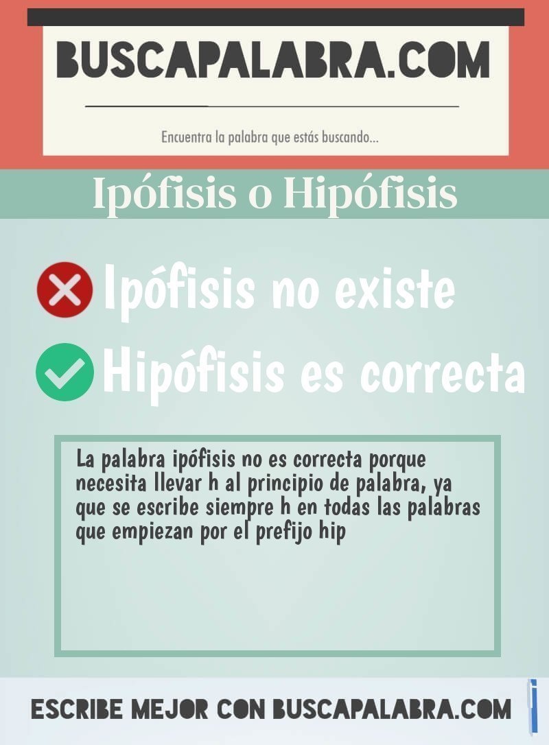 Ipófisis o Hipófisis