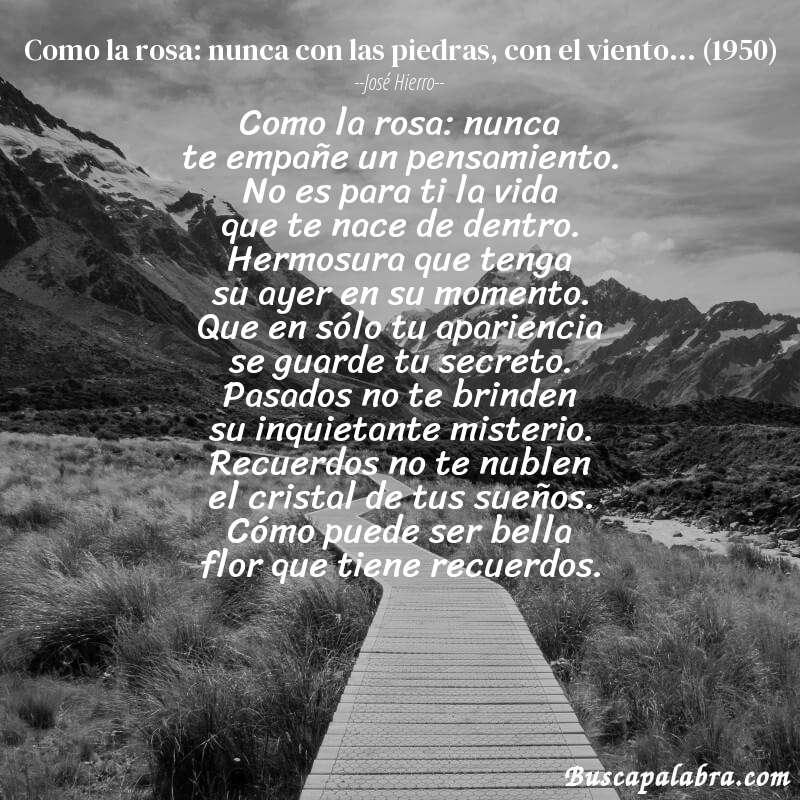 Poema como la rosa: nunca con las piedras, con el viento... (1950) de José Hierro con fondo de paisaje