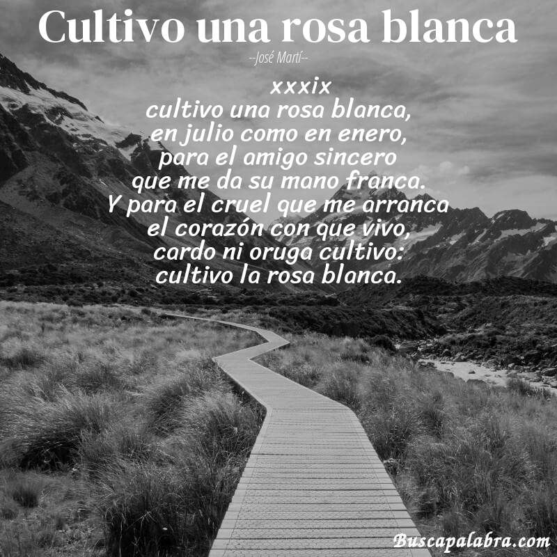 Poema cultivo una rosa blanca de José Martí con fondo de paisaje
