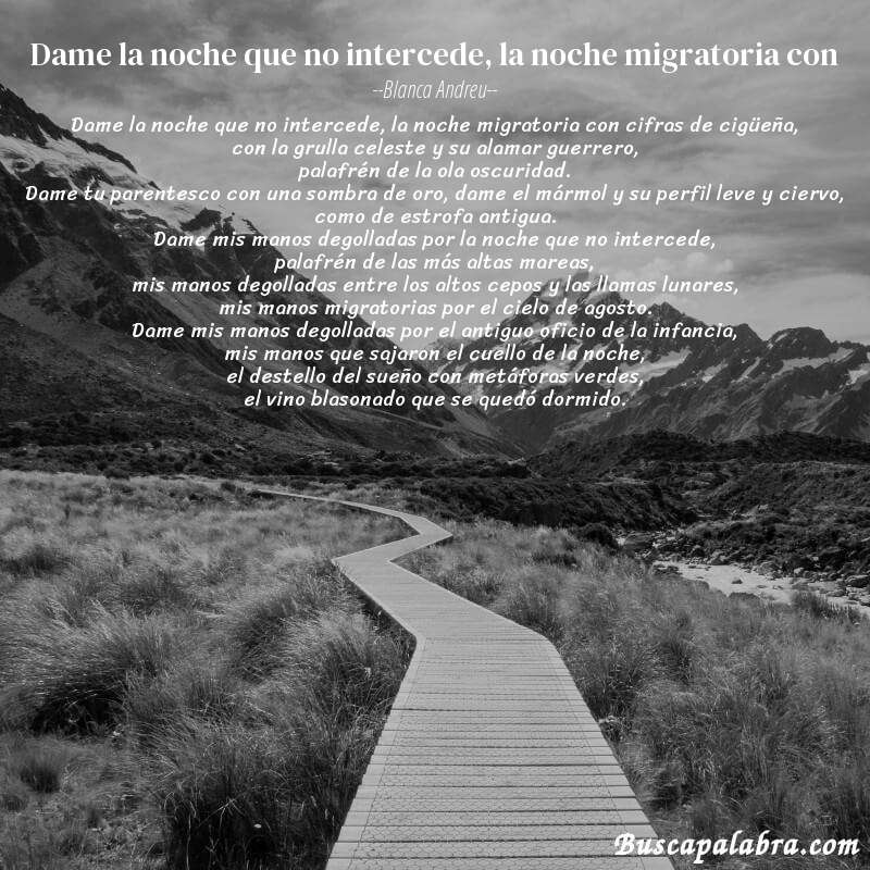 Poema dame la noche que no intercede, la noche migratoria con de Blanca Andreu con fondo de paisaje