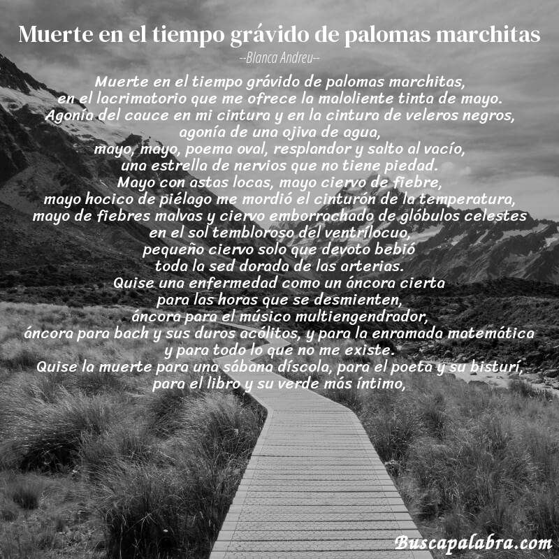 Poema muerte en el tiempo grávido de palomas marchitas de Blanca Andreu con fondo de paisaje