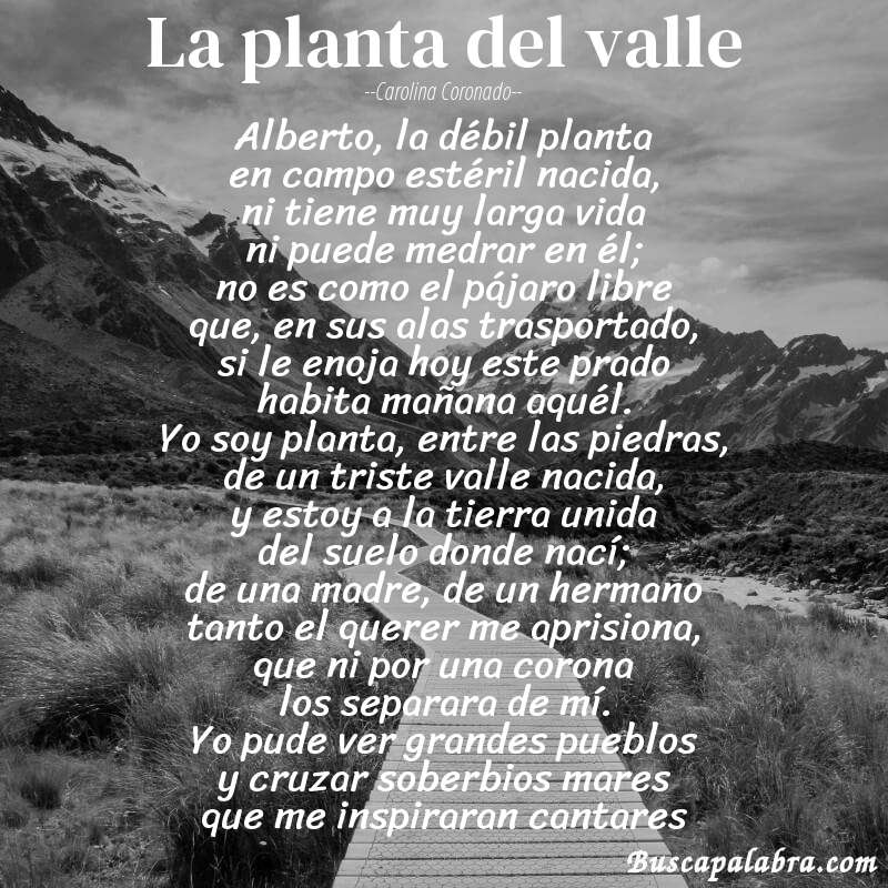 Poema la planta del valle de Carolina Coronado con fondo de paisaje