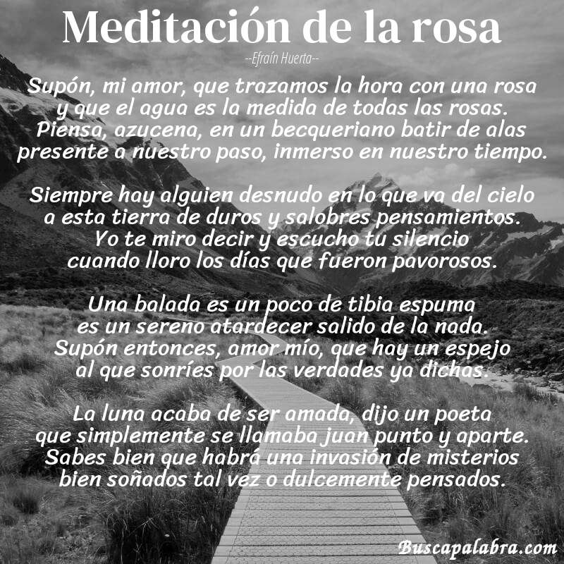 Poema meditación de la rosa de Efraín Huerta con fondo de paisaje
