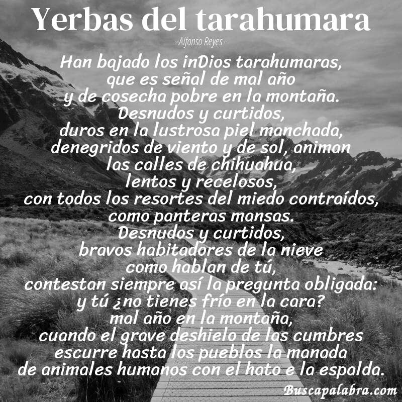 Poema yerbas del tarahumara de Alfonso Reyes con fondo de paisaje