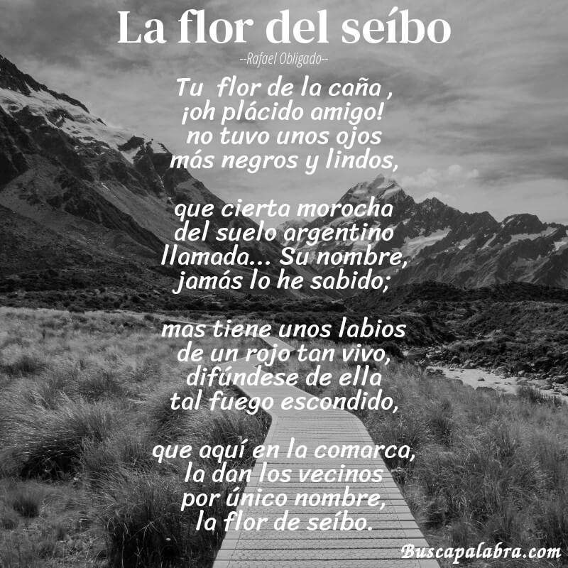 Poema la flor del seíbo de Rafael Obligado con fondo de paisaje