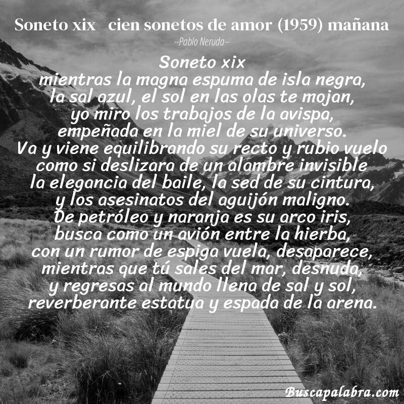 Poema soneto xix   cien sonetos de amor (1959) mañana de Pablo Neruda con fondo de paisaje