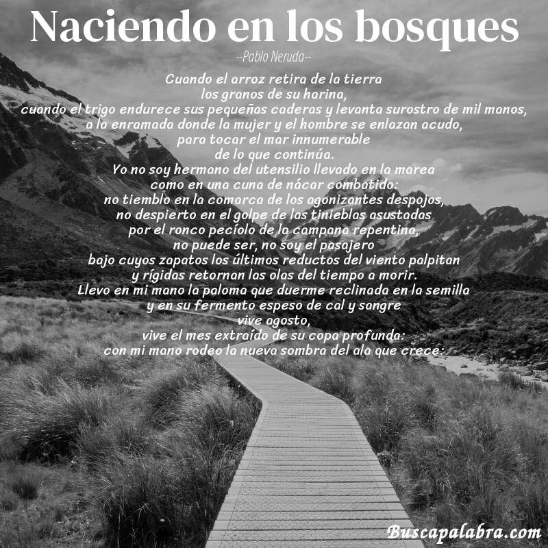 Poema naciendo en los bosques de Pablo Neruda con fondo de paisaje