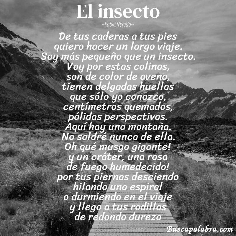 Poema el insecto de Pablo Neruda con fondo de paisaje