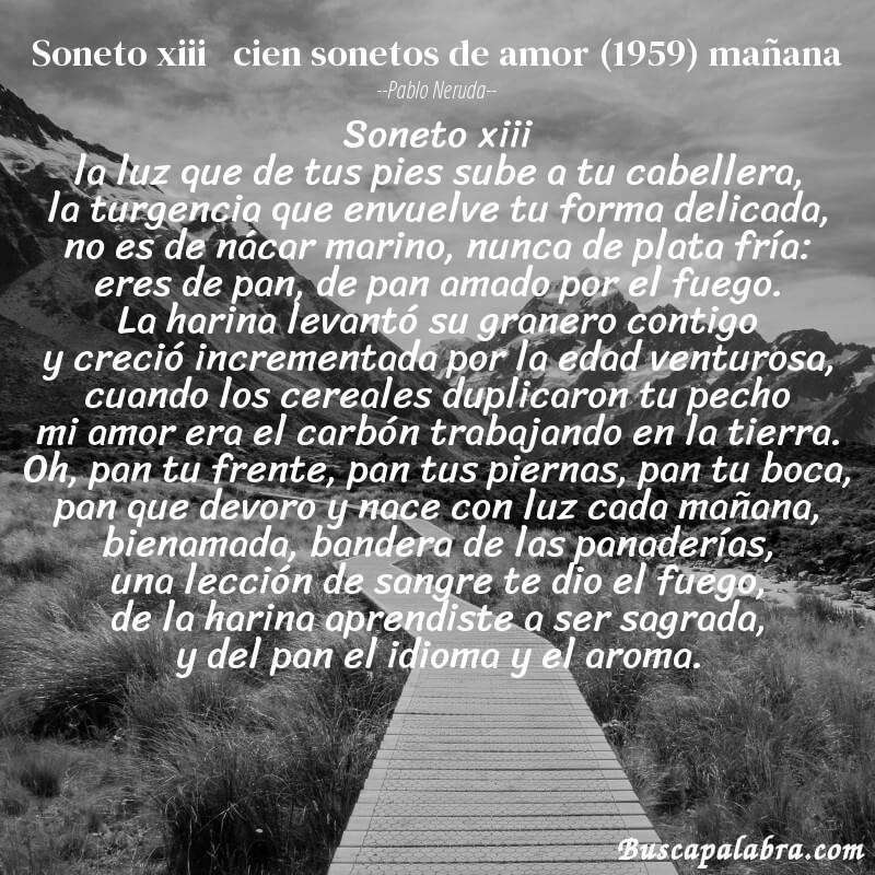Poema soneto xiii   cien sonetos de amor (1959) mañana de Pablo Neruda con fondo de paisaje