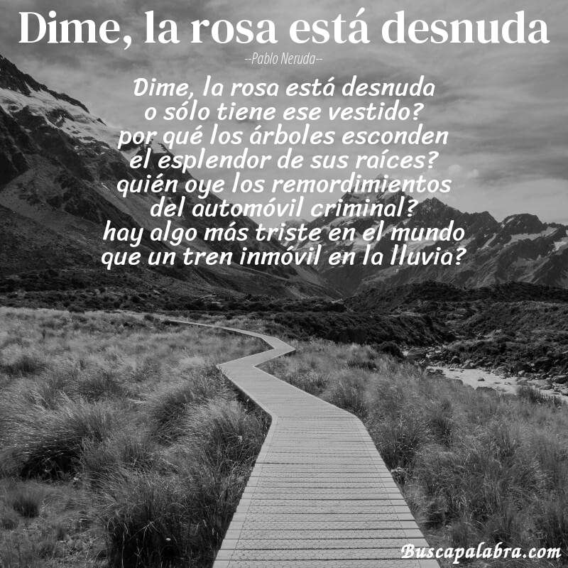 Poema dime, la rosa está desnuda de Pablo Neruda con fondo de paisaje