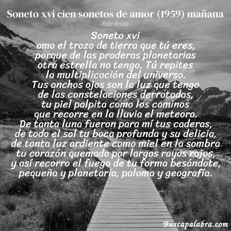 Poema soneto xvi cien sonetos de amor (1959) mañana de Pablo Neruda con fondo de paisaje