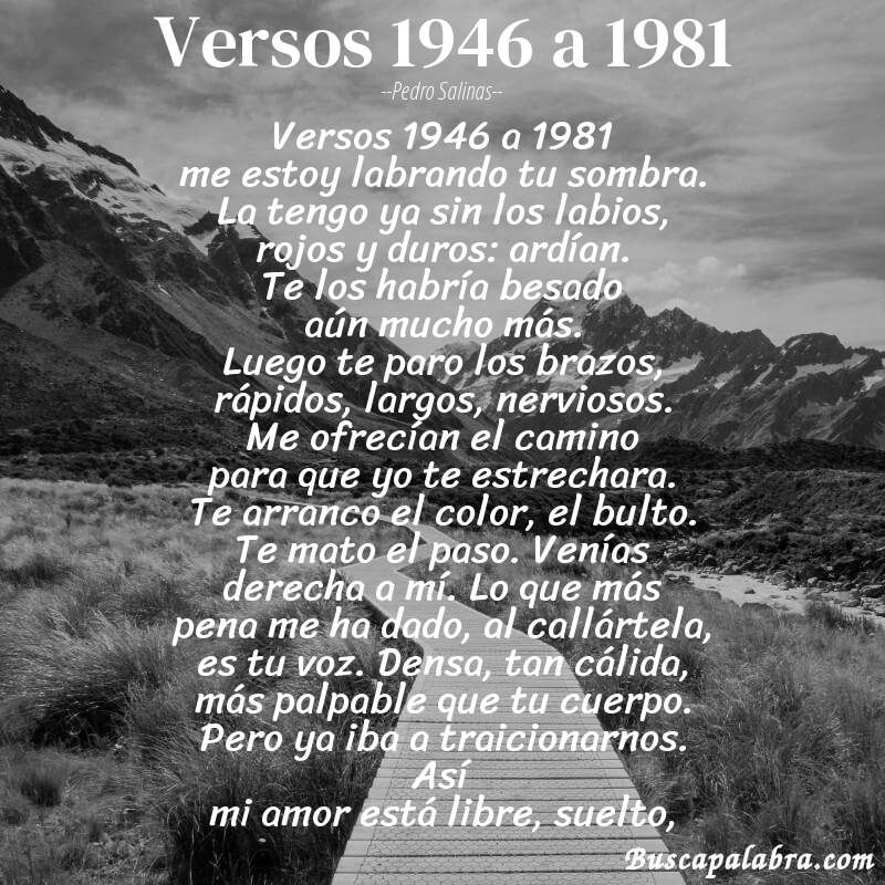 Poema versos 1946 a 1981 de Pedro Salinas con fondo de paisaje