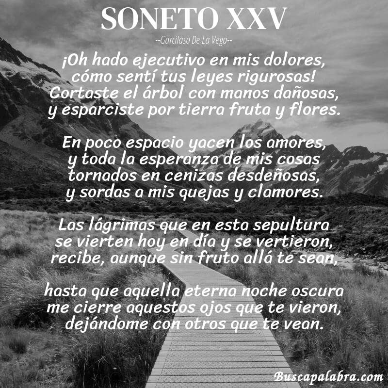 Poema SONETO XXV de Garcilaso de la Vega con fondo de paisaje