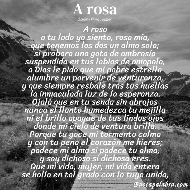 Poema a rosa de Antonio-Plaza-Llamas con fondo de paisaje