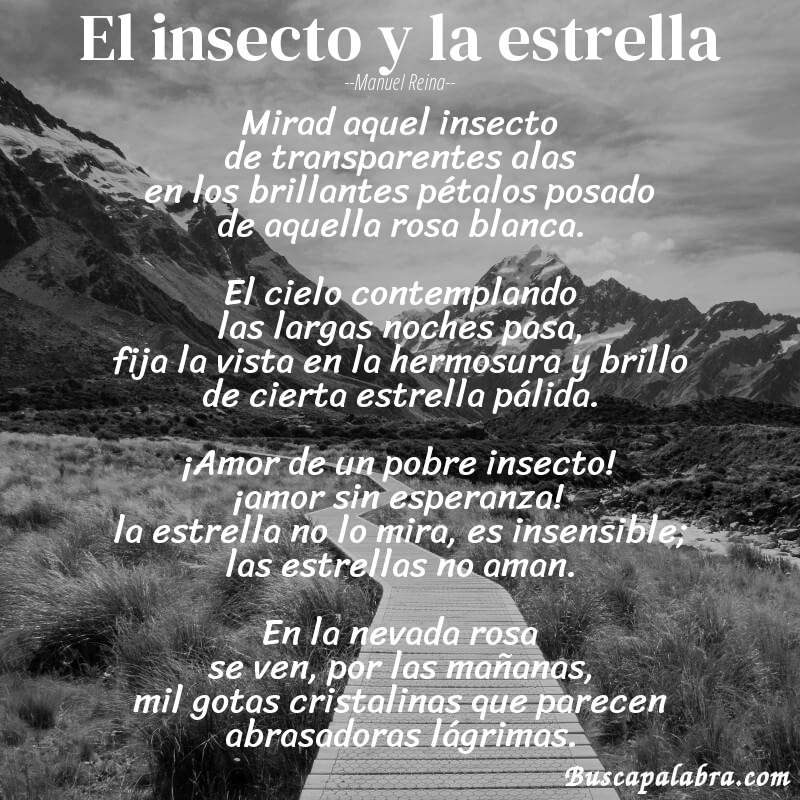 Poema El insecto y la estrella de Manuel Reina con fondo de paisaje