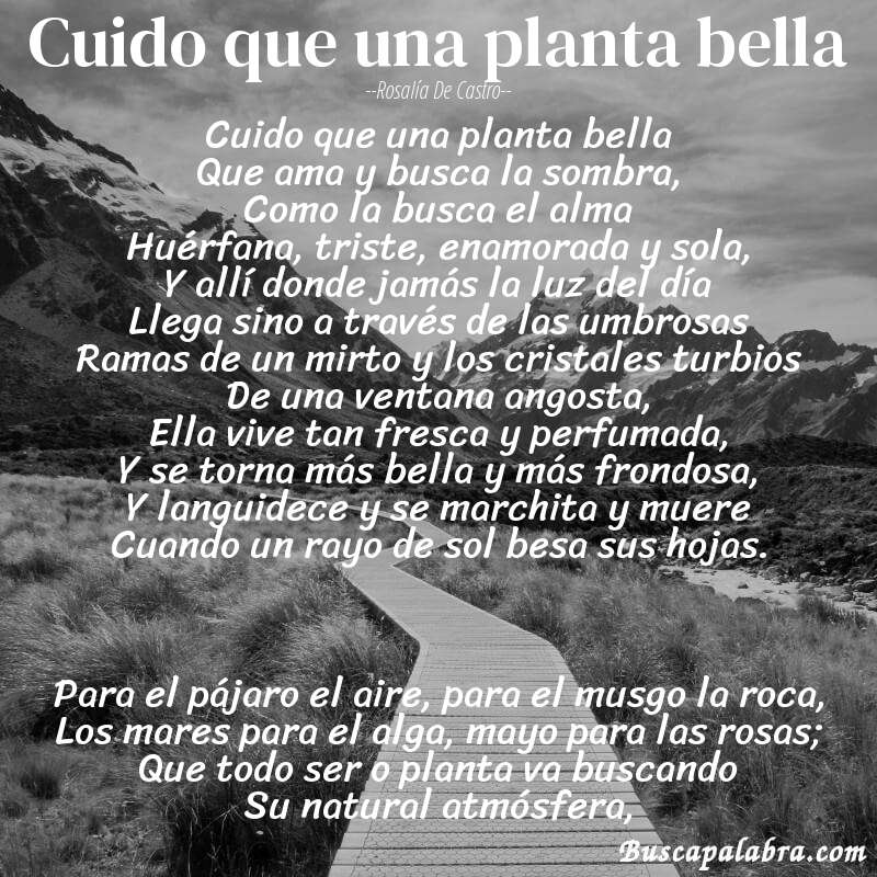 Poema Cuido que una planta bella de Rosalía de Castro con fondo de paisaje