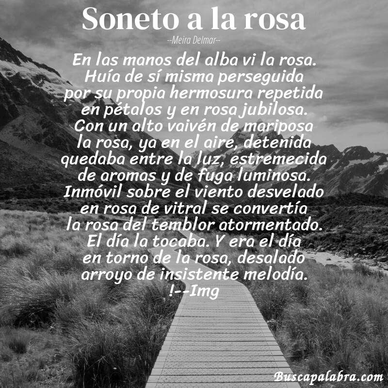 Poema soneto a la rosa de Meira Delmar con fondo de paisaje