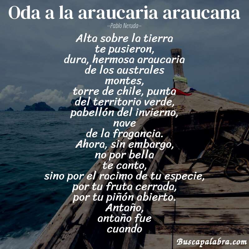 Poema oda a la araucaria araucana de Pablo Neruda con fondo de barca