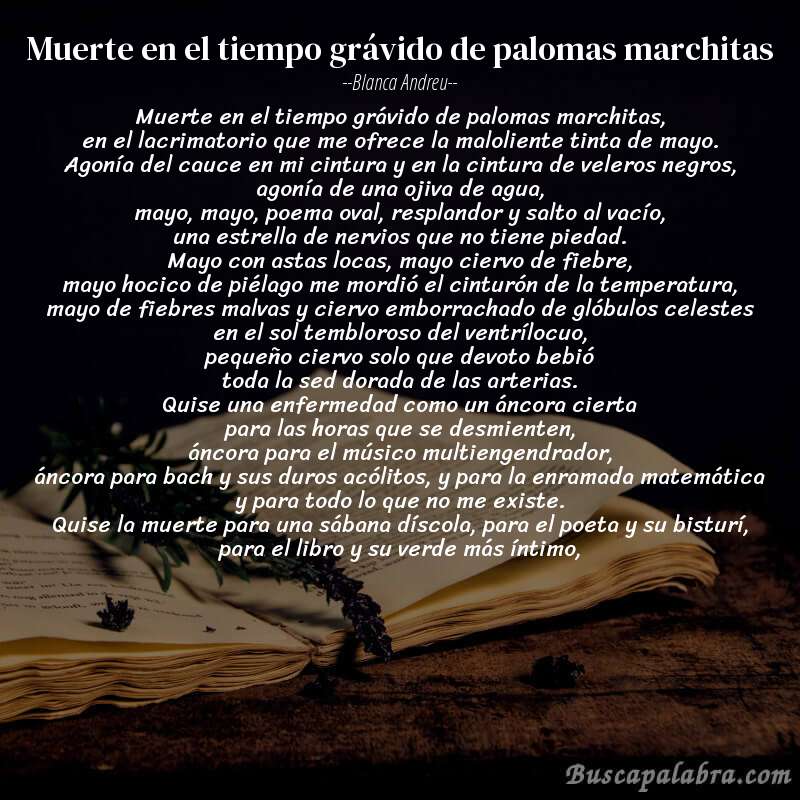 Poema muerte en el tiempo grávido de palomas marchitas de Blanca Andreu con fondo de libro
