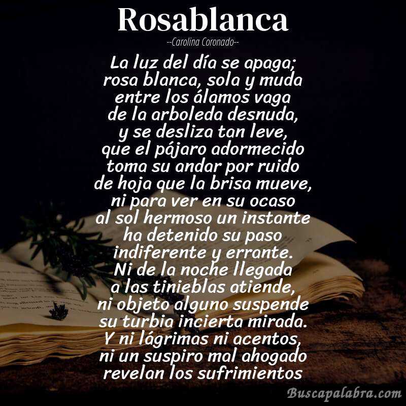 Poema rosablanca de Carolina Coronado con fondo de libro