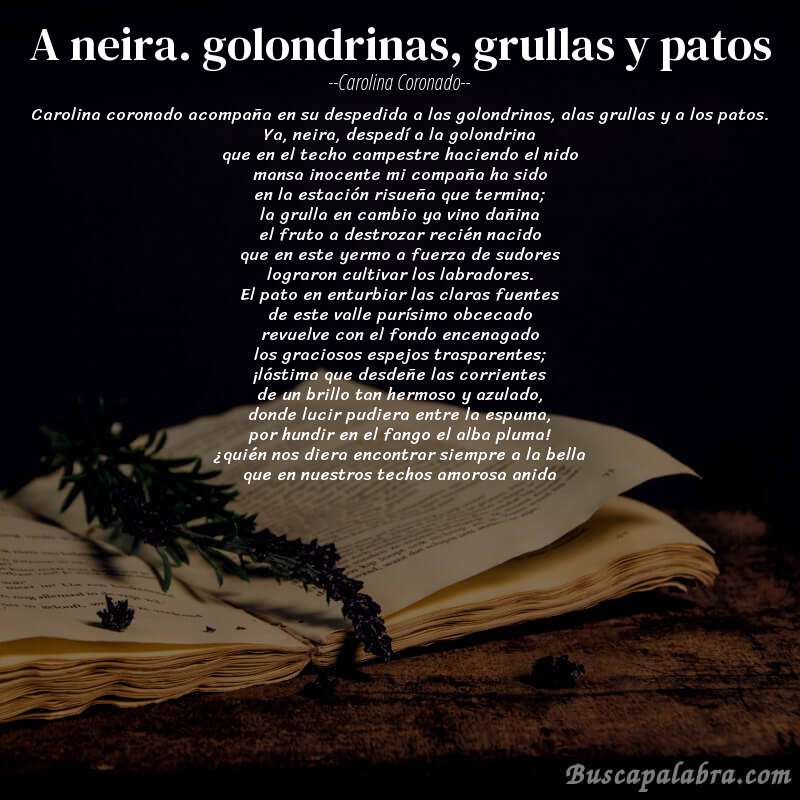Poema a neira. golondrinas, grullas y patos de Carolina Coronado con fondo de libro
