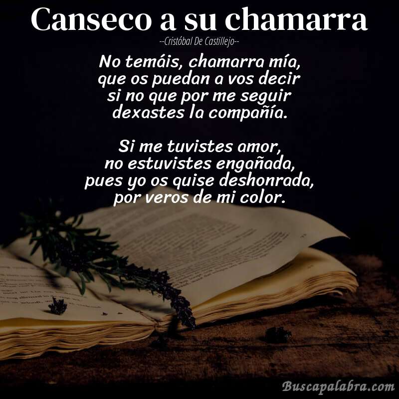 Poema canseco a su chamarra de Cristóbal de Castillejo con fondo de libro