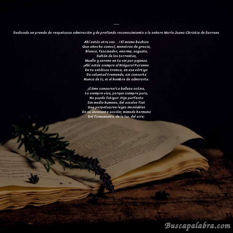 Poema En el Niágara de Rafael Pombo con fondo de libro