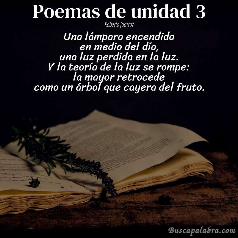 Poema poemas de unidad 3 de Roberto Juarroz con fondo de libro