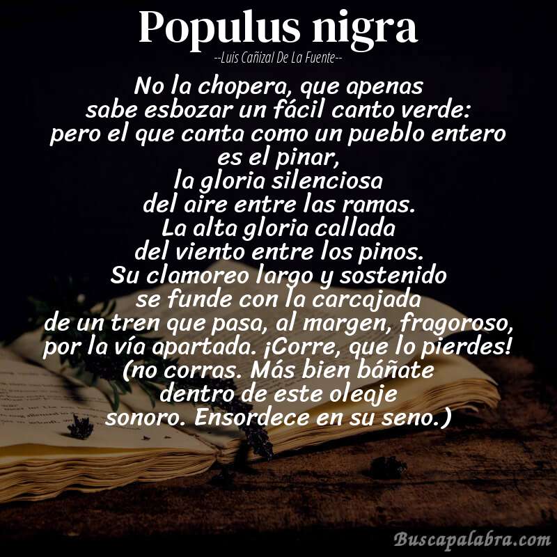 Poema populus nigra de Luis Cañizal de la Fuente con fondo de libro