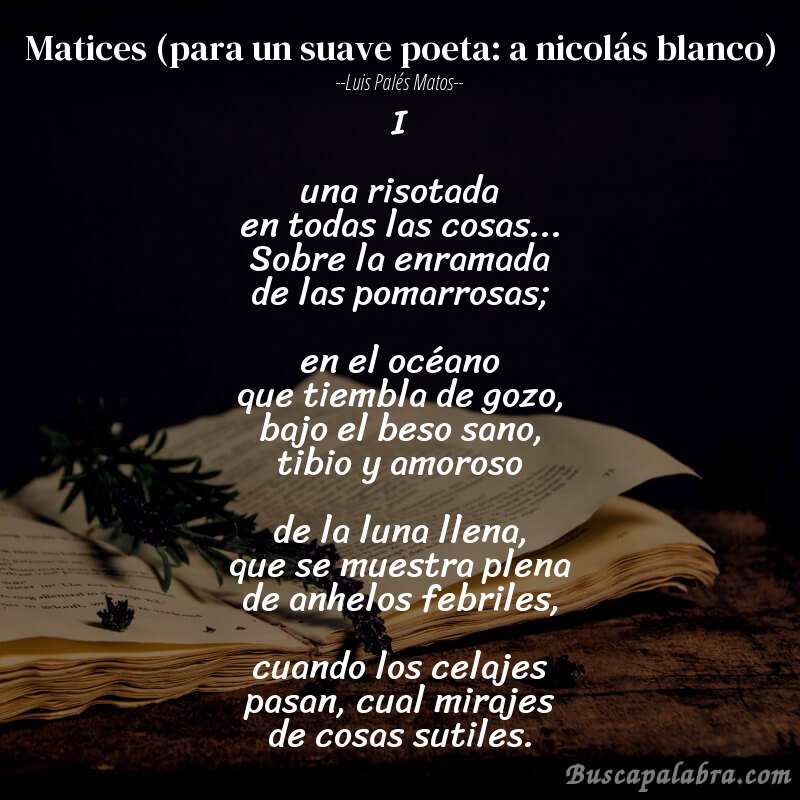 Poema matices (para un suave poeta: a nicolás blanco) de Luis Palés Matos con fondo de libro