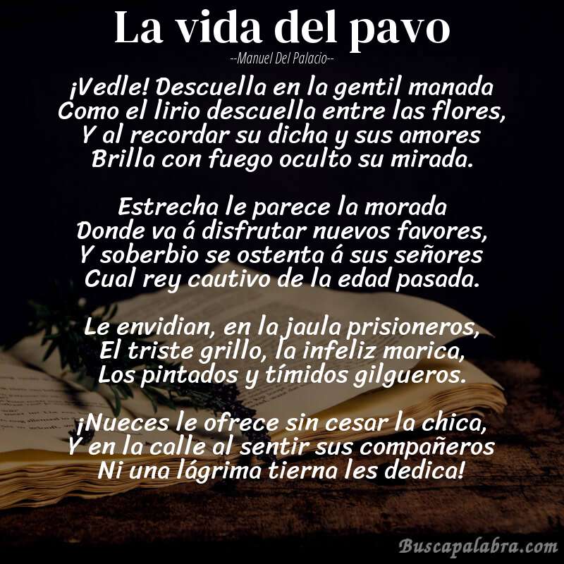 Poema La vida del pavo de Manuel del Palacio con fondo de libro