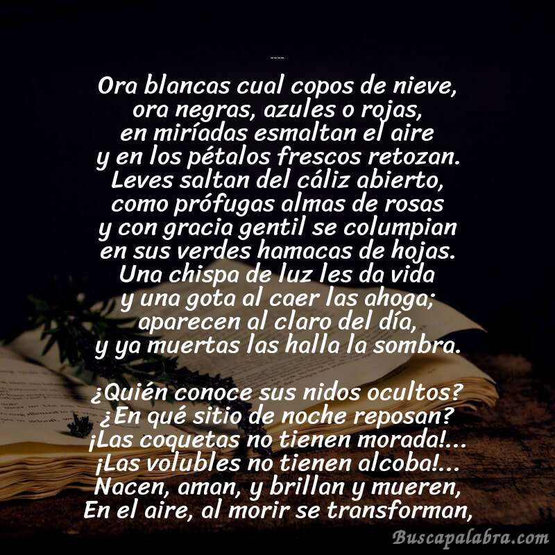 Poema Mariposas de Manuel Gutiérrez Nájera con fondo de libro