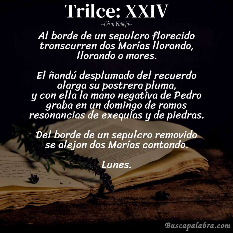Poema Trilce: XXIV de César Vallejo con fondo de libro