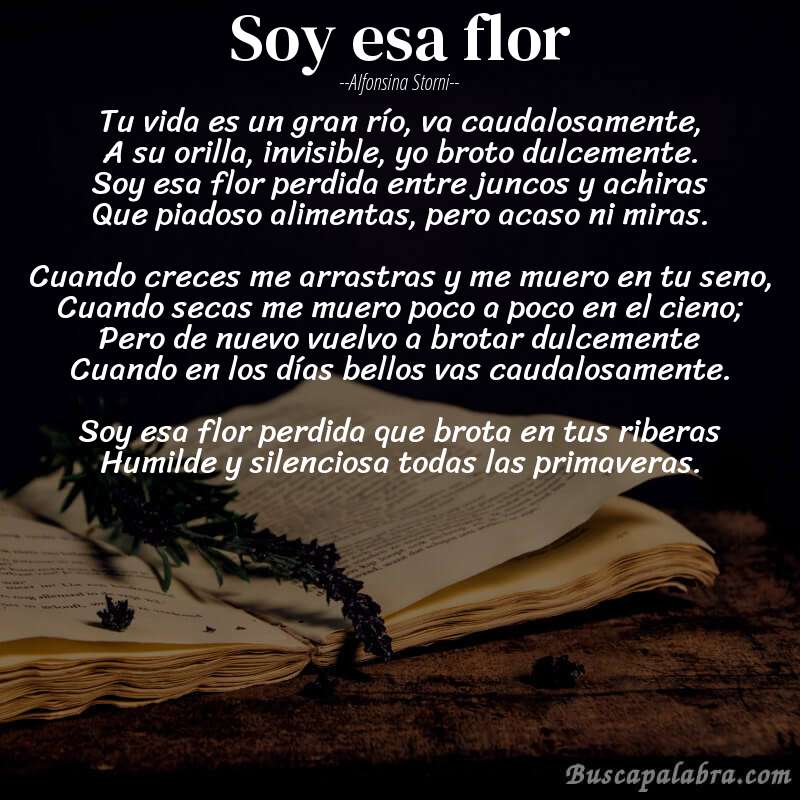 Poema Soy esa flor de Alfonsina Storni con fondo de libro
