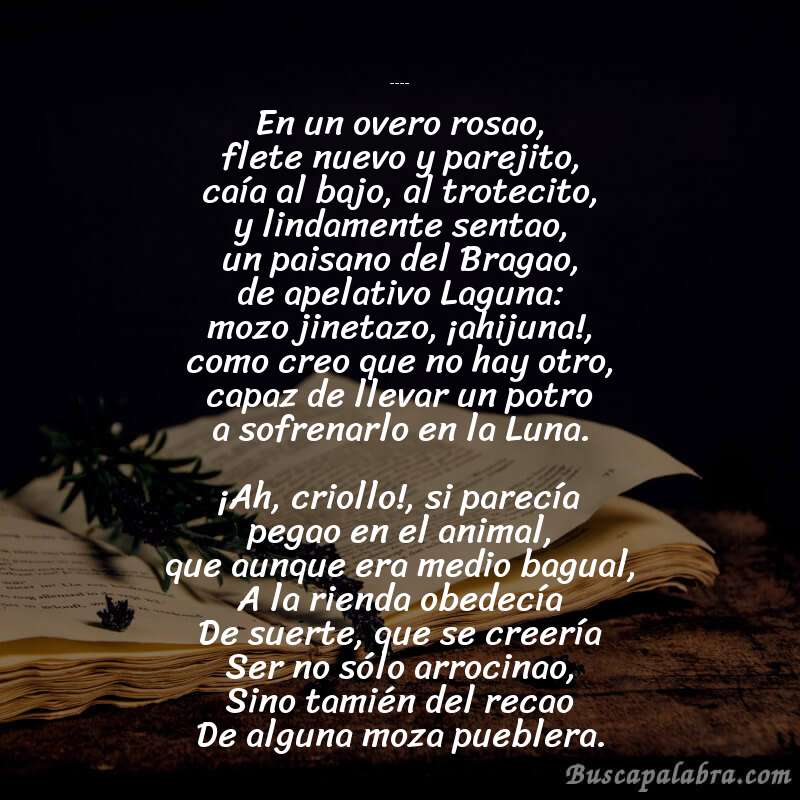 Poema Fausto de Estanislao del Campo con fondo de libro