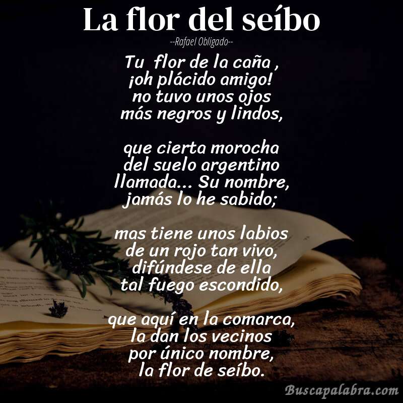Poema la flor del seíbo de Rafael Obligado con fondo de libro
