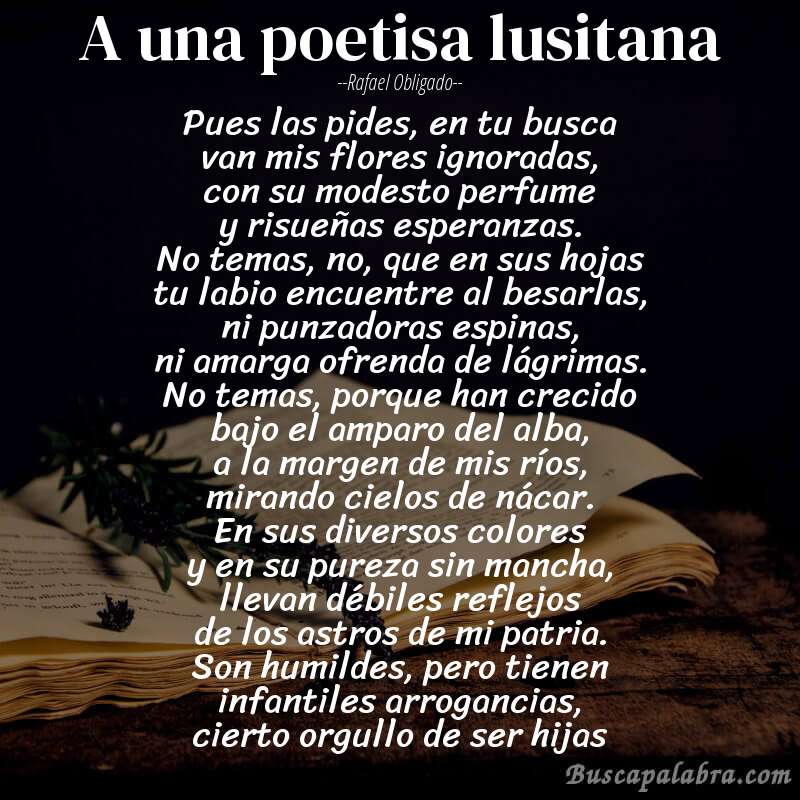 Poema a una poetisa lusitana de Rafael Obligado con fondo de libro