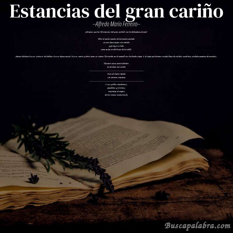Poema Estancias del gran cariño de Alfredo Mario Ferreiro con fondo de libro