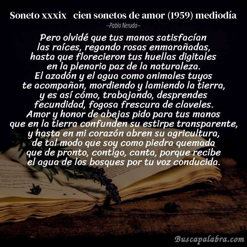 Poema soneto xxxix   cien sonetos de amor (1959) mediodía de Pablo Neruda con fondo de libro