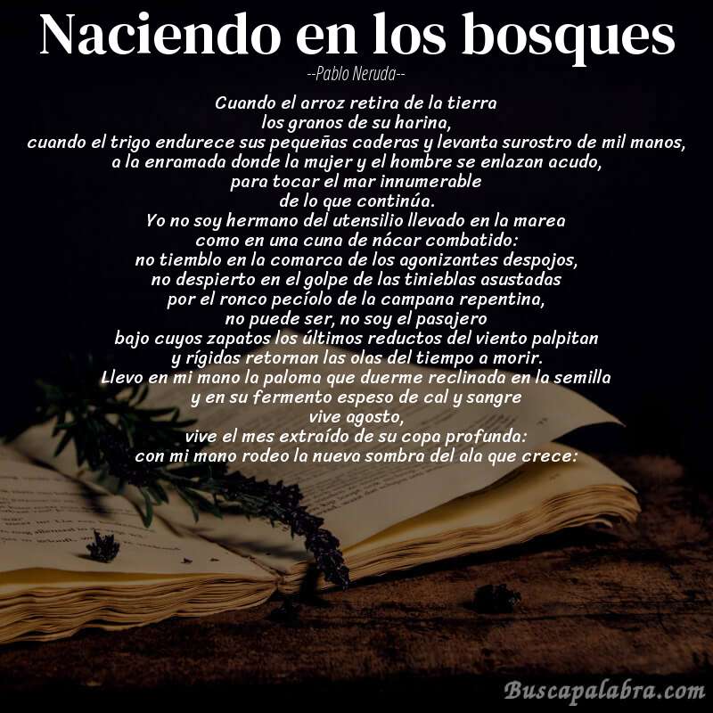 Poema naciendo en los bosques de Pablo Neruda con fondo de libro