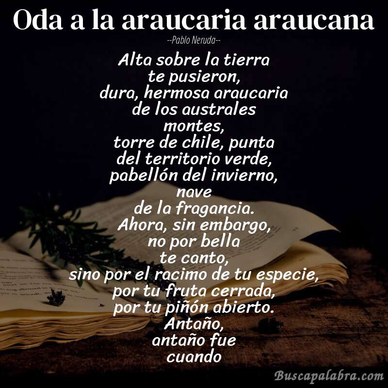 Poema oda a la araucaria araucana de Pablo Neruda con fondo de libro