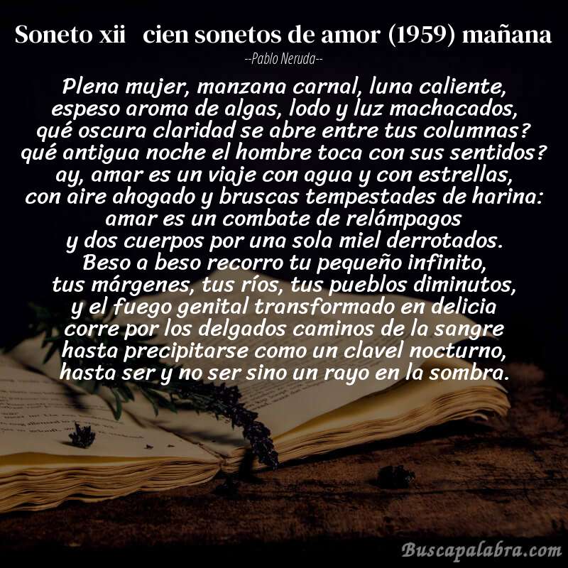 Poema soneto xii   cien sonetos de amor (1959) mañana de Pablo Neruda con fondo de libro