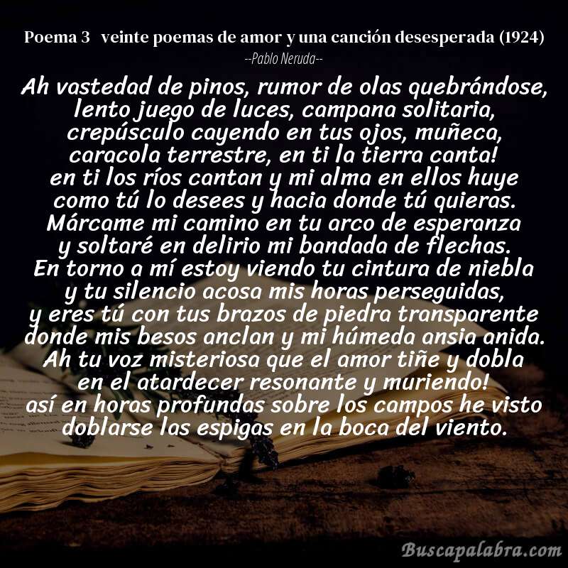 Poema poema 3   veinte poemas de amor y una canción desesperada (1924) de Pablo Neruda con fondo de libro